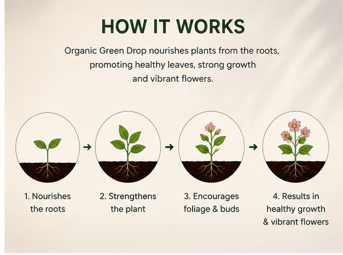 VERDIVA™ — Organic Plant Nutrient